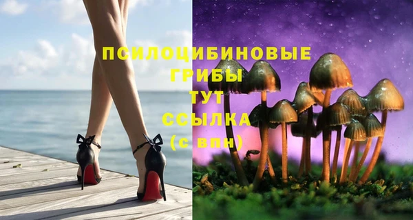 jwh Новокубанск