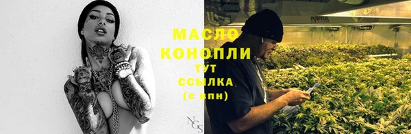 крисы Алексин