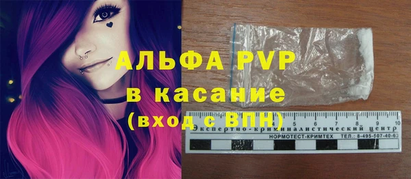 крисы Алексин