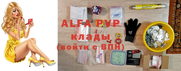 крисы Алексин