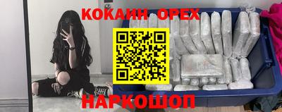 крисы Гагарин