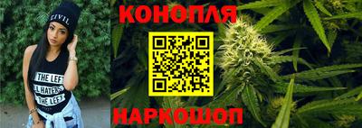 крисы Гагарин