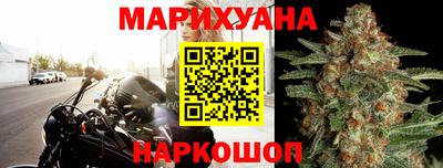 крисы Гагарин