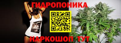 молекула духа Новозыбков