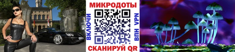 Псилоцибиновые грибы GOLDEN TEACHER  Нижний Новгород 
