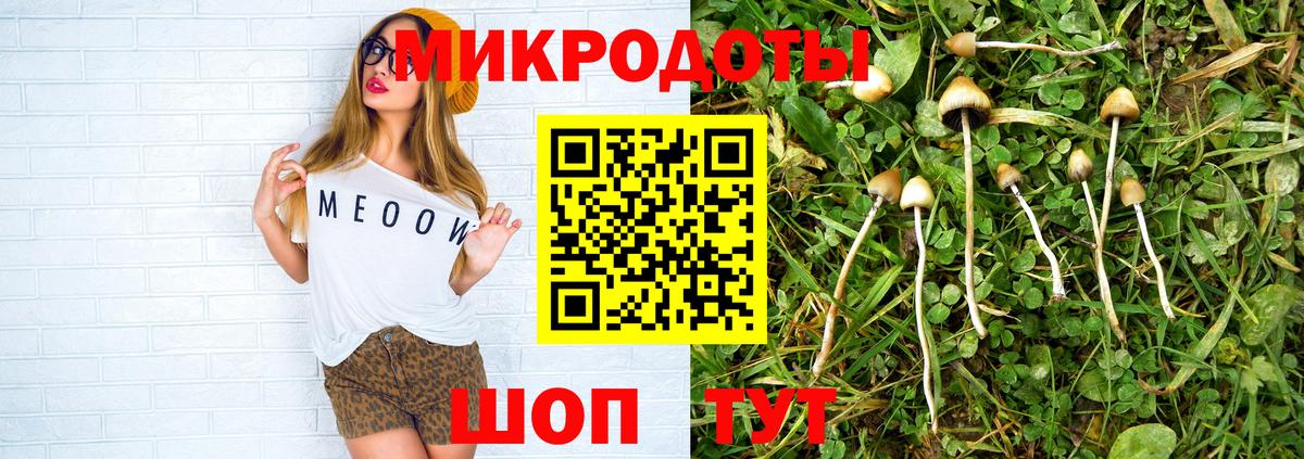 купить закладку  Вход с VPN  Нижний Новгород  Галлюциногенные грибы MAGIC MUSHROOMS 
