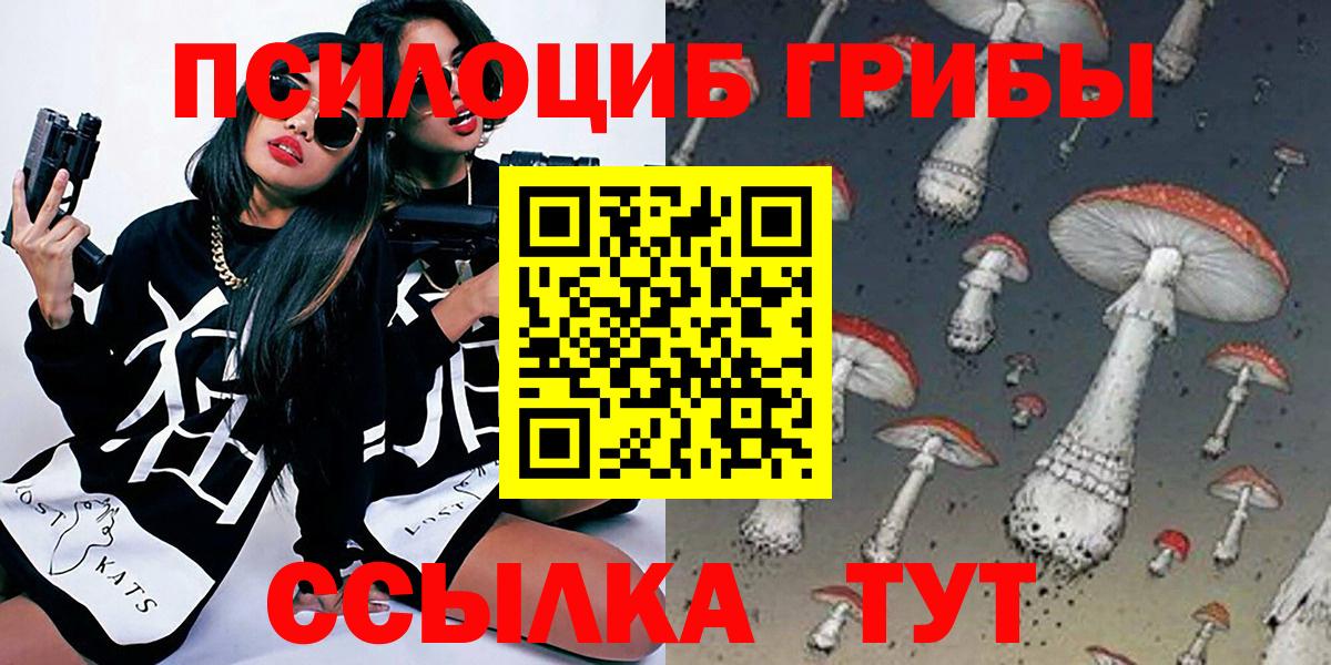 Галлюциногенные грибы Cubensis Нижний Новгород